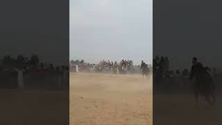 رقص الخيل مرماح حجازة احتفال مولد الشيخ أحمد الخرمى