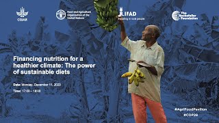 Financing nutrition for a healthier climate: The power of sustainable diets