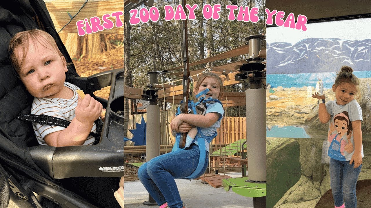 Первый день в зоопарке в 2026 году | Зоопарк и ботанический сад Ривербэнкс | 10/365