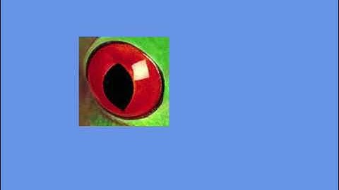 Assignment 2 - Beginning Game Programming with C#