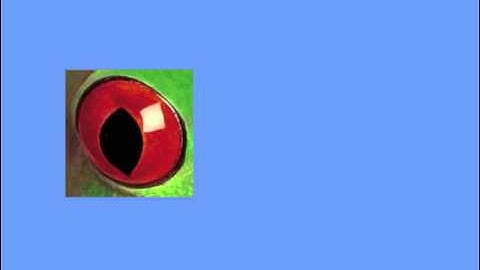 Assignment 2 - Beginning Game Programming with C#