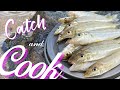 Catch and cook  sand whiting fishing at changi coast walk nsrcc