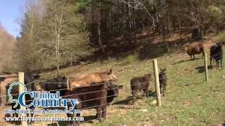 Farm For Sale - Floyd County, Virginia - Matt Gallimore - United Country Blue Ridge Land and Auction