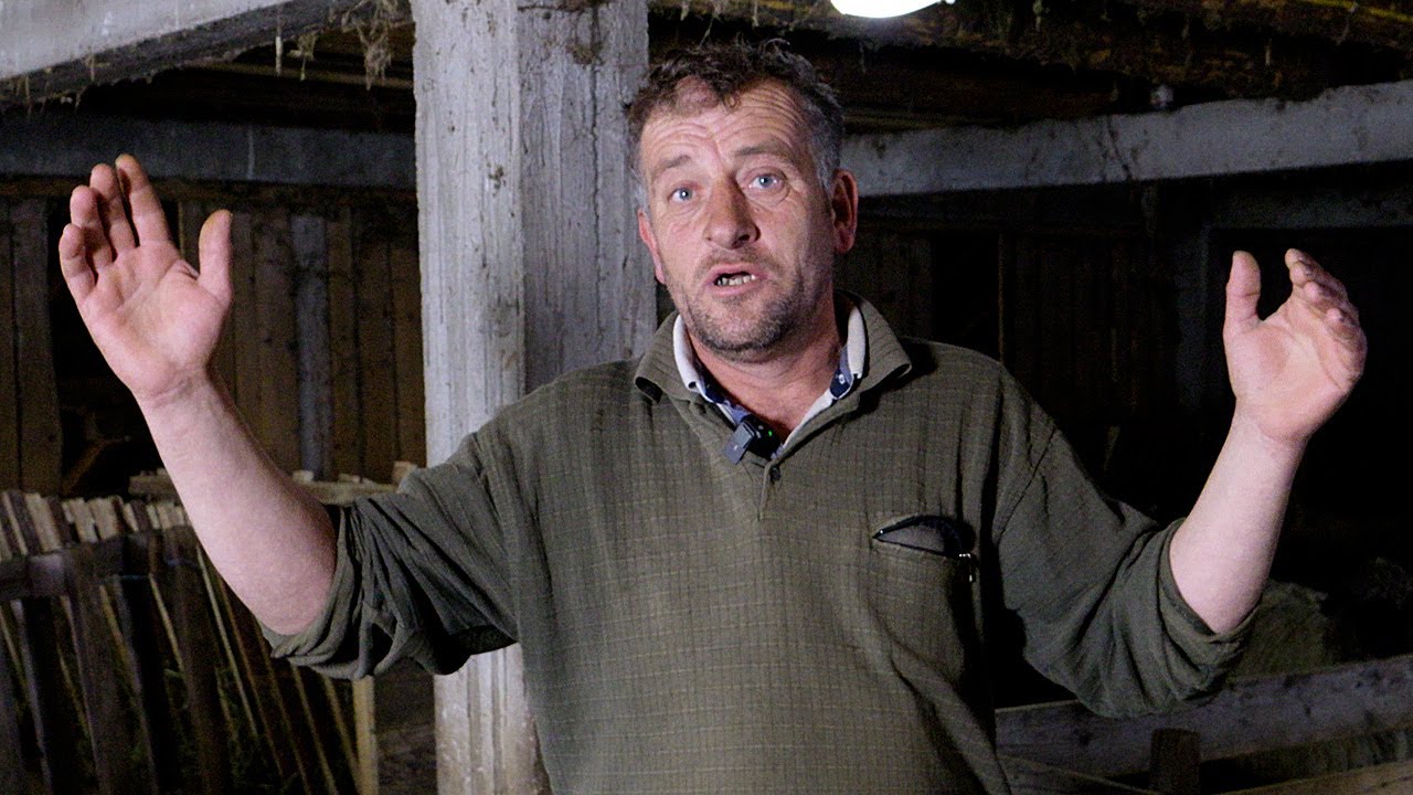 Jedini pastir na vlašičkom platou koji radi za plaću
