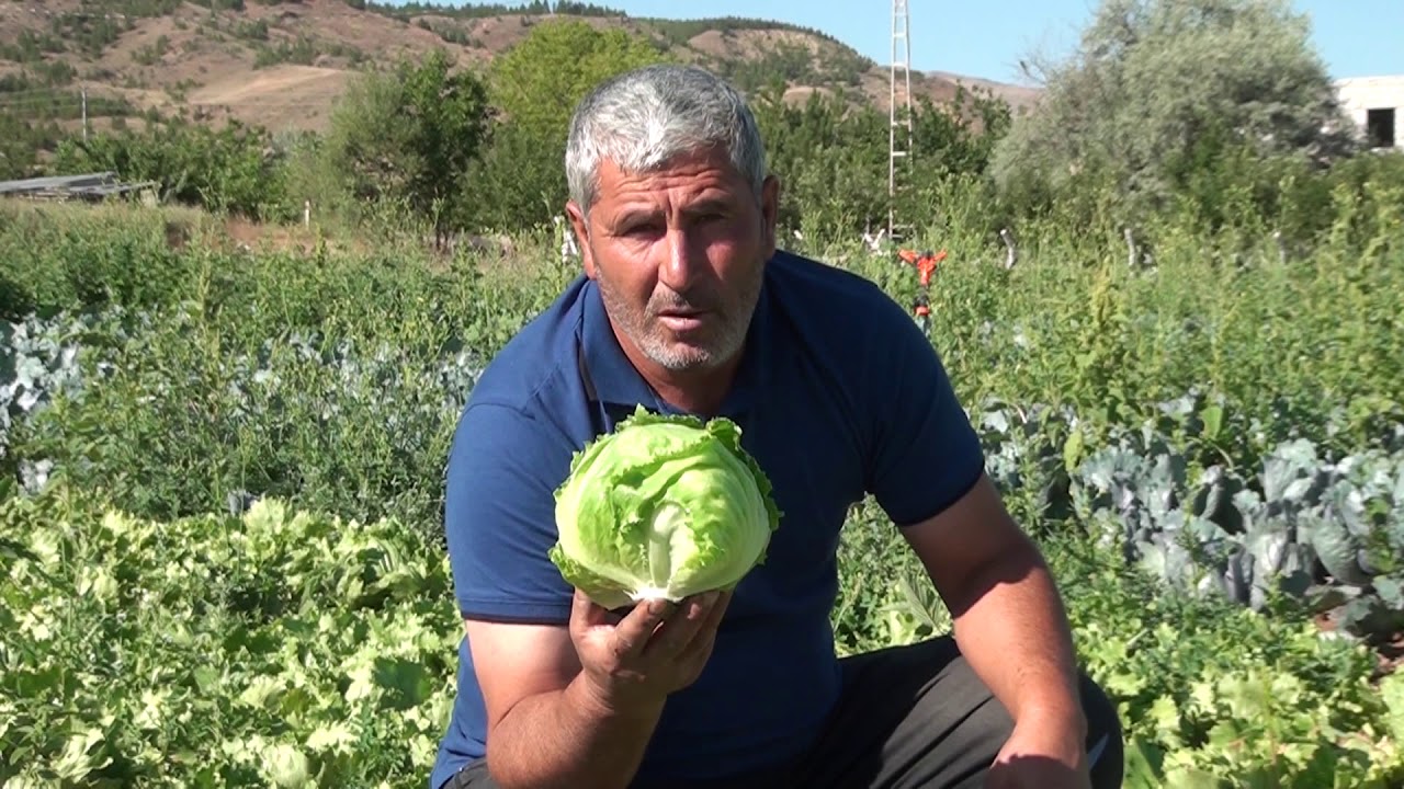 KERMELİK RIFAT ANKİT BELGESELİ:ÖNER ÇALIŞ:05332358125