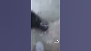 Adding autotune to random videos 3