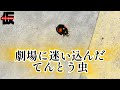 虫には優しくした方がいい。