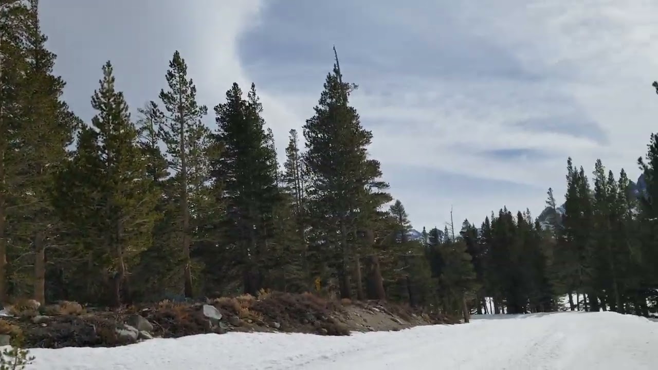Tamarack resort Snowshoeing in Mammoth Lakes YouTube