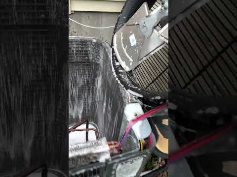 Condenser Cleaning!