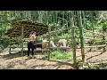 How to build bamboo house for buffalo 2021 - Ep.75