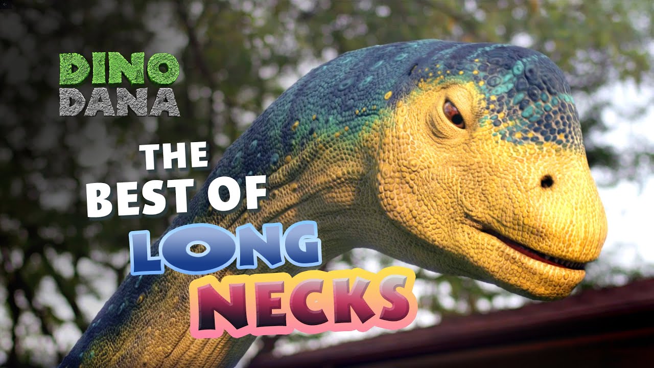 The Best of Long Necks | Dino Dana