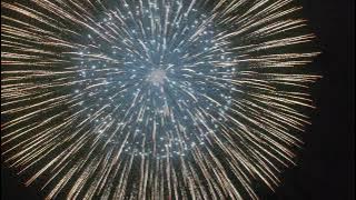 16 INCH SHELL KAMURO TO BLINKER   BLINKER PISTIL DEL VICARIO