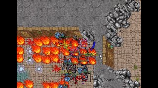 Timira RP 295 solo (low skills)