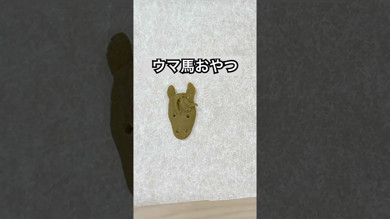 リアルな馬をおやつで作ってみた！ #ペット #hamster