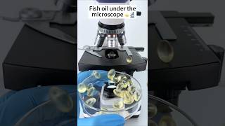 You've NEVER Seen a Fish Oil Look Like This 😱 #shorts #facts #microscope #fish #fun