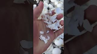 Famous Cracking eggshells #asmr #satisfying #eggs Wealth
