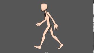 Normal walk cycle