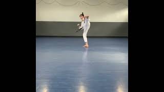 Grading Line Work - 2nd Kup Red Belt