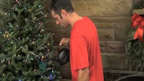 TreeNanny Christmas Tree Water Sensor