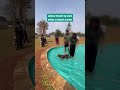 How to Introduce Your Dog To Swimming | Dog Trainer | Dog Expert | thePack.in #dogtraining