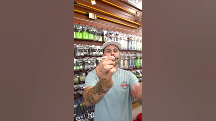 NLBN 3" Paddle Tail | How to Rig It