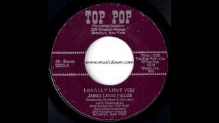 James Lewis Fields - I Really Love You [Top Pop] 1973 Crossover Soul 45