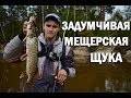 Задумчивая МЕЩЕРСКАЯ Щука. Джиг.