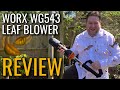 Worx Leaf Blower Review - WG543