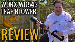 Worx Leaf Blower Review  WG543