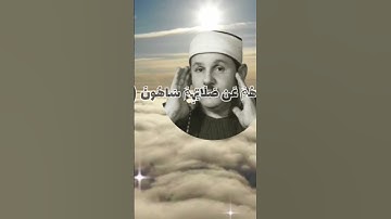 #سورة-الماعون-الشيخ-محمود-علي-البنا