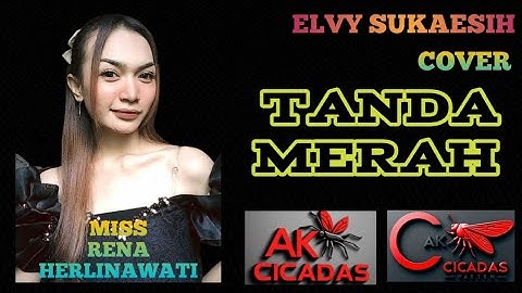 Tanda merah - Elvy Sukaesih cover by Ak Cicadas