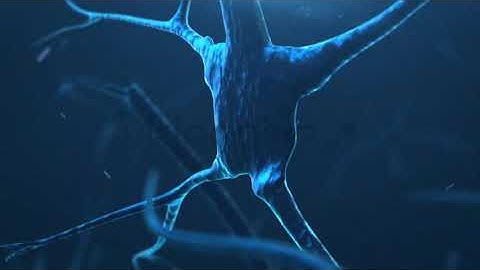 Synaps Neuron - Stock Footage from Videohive