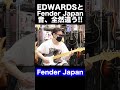 EDWARDSとFender Japan音全然違う🎸#fenderjapan #edwards #stratocaster #seabird #shorts