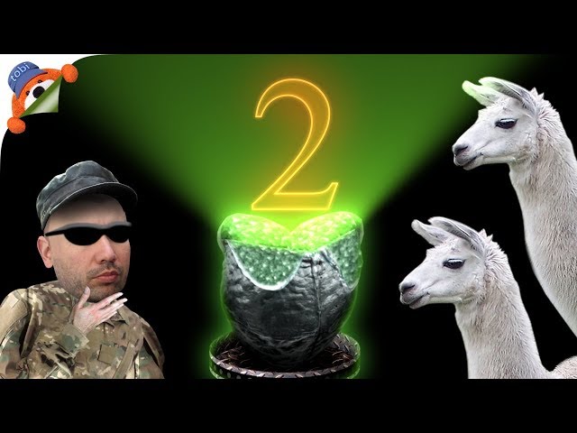 Huevo de Alien | Llamas del Tiempo 2 | TobiAnimados