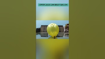 "Lemons vs Ballons: A Juicy Explosion of fun!"#latest shorts  # shorts #science