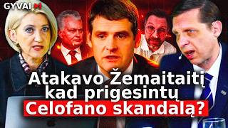Teisėsaugos siautėjimas: kas Lietuvoje formuoja politiką – rinkėjai ar bylos?