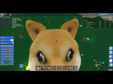 Grow And Raise An Epic Doge How To Get The Ruby Badge And The Emerald Badge Roblox Youtube - grow and raise an epic doge roblox