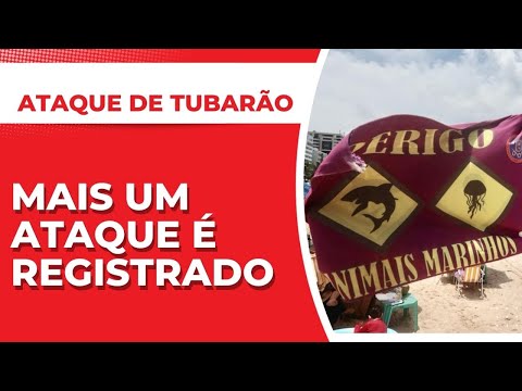 NOVO ATAQUE DE TUBARÃO é registrado em PIEDADE, durante o feriado em PERNAMBUCO