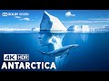 Unseen Antarctica | What's REALLY Hiding in Antarctica Documentary