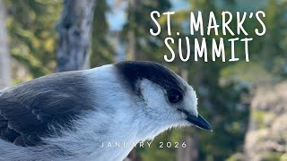 A Winter Hike to St. Mark's Summit in January