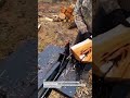 Hydraulic Log Splitter Power in Action 💪🌲 #LogSplitter #Firewood #FarmTools