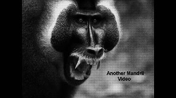 plank version 2 Arch Linux  installation and configuration