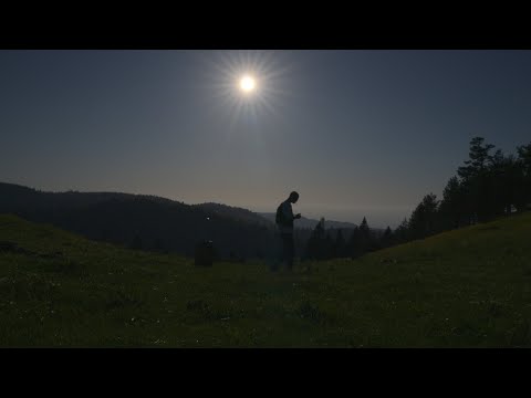 Dianz - Nefret Ediyorum Hepsinden (Official Lyric Video)