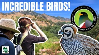 Experience the Southeast Arizona Birding Festival: A Birder's Paradise!