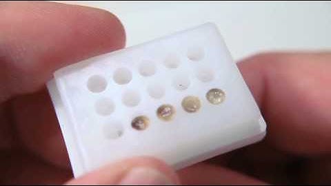 Arraymold Sweet Tips  Vol. 4