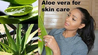 Aloe Vera Benefits For Skin Care