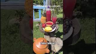 así se vive en el campo en el sendero para las #gachas
