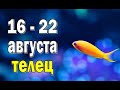 ТЕЛЕЦ 🌍 ПРОЗРЕНИЕ 🌍 неделя с 16 по 22 августа. Таро прогноз гороскоп гадание