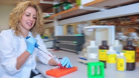 Schaal develops methods for early detection of diabetic retinopathy