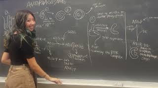 Plant Cell Biology Final Review Part Two (UC Berkeley Spring 2026)